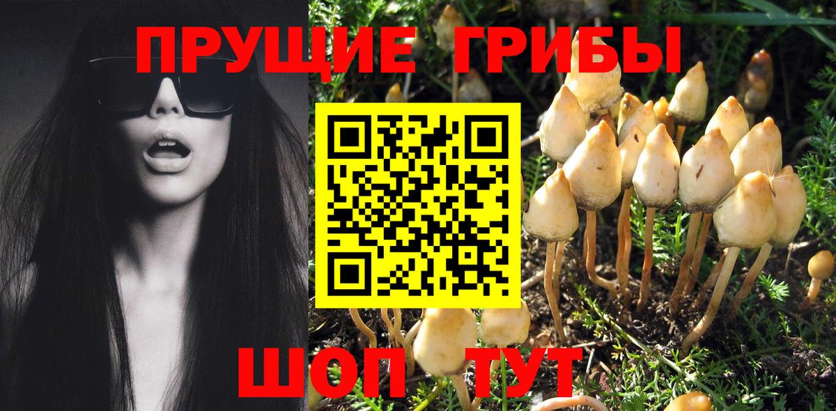 Галлюциногенные грибы мицелий  Вход с VPN  Галлюциногенные грибы Magic Shrooms  Можайск 