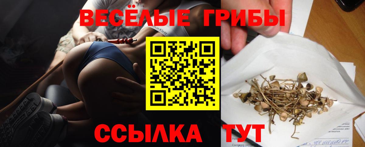 Псилоцибиновые грибы мицелий Можайск